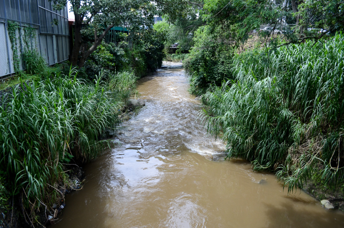 Untreated runoff from businesses and homes and untreated sewage are the leading causes of pollution in San José’s Río Torres. Alberto Font/The Tico Times