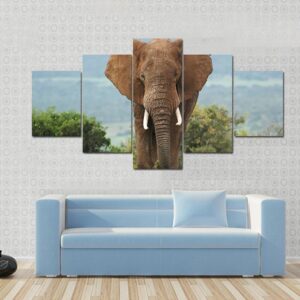 African Elephant In Addo Elephant Park - Animal 5 Panel Canvas Art Wall Decor