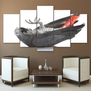 African Grey Parrot - Animal 5 Panel Canvas Art Wall Decor