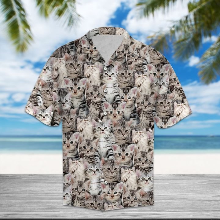 American Shorthair Hawaiian Shirt Summer Button Up American Shorthair Hawaiian Shirt Summer Button Up