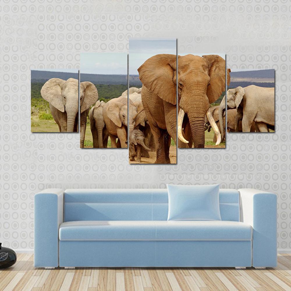 An Elephant Herd With Tusker - Animal 5 Panel Canvas Art Wall Decor An Elephant Herd With Tusker - Animal 5 Panel Canvas Art Wall Decor