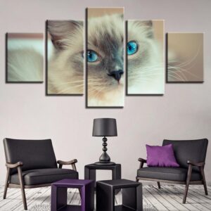 Animal Lovely White Cat - Animal 5 Panel Canvas Art Wall Decor