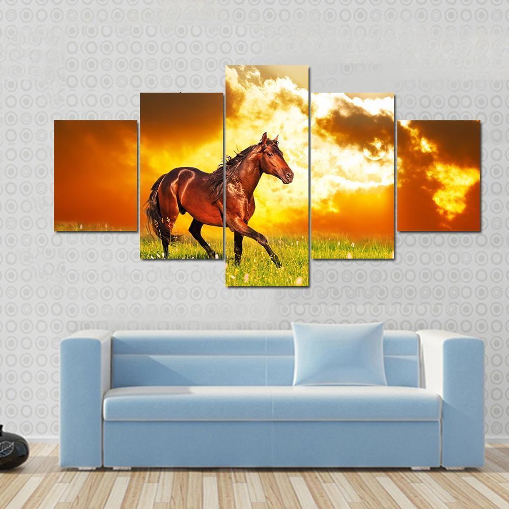 Bay Horse Skips On A Meadow - Animal 5 Panel Canvas Art Wall Decor Bay Horse Skips On A Meadow - Animal 5 Panel Canvas Art Wall Decor