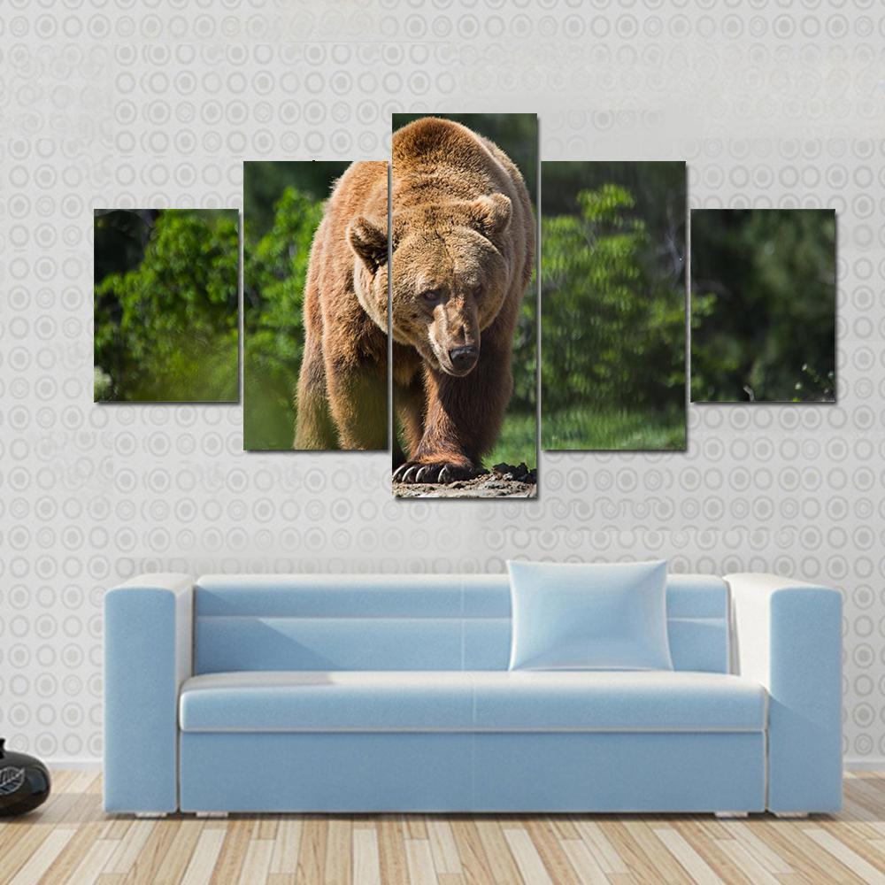 Bear Moving In The Forest - Animal 5 Panel Canvas Art Wall Decor Bear Moving In The Forest - Animal 5 Panel Canvas Art Wall Decor