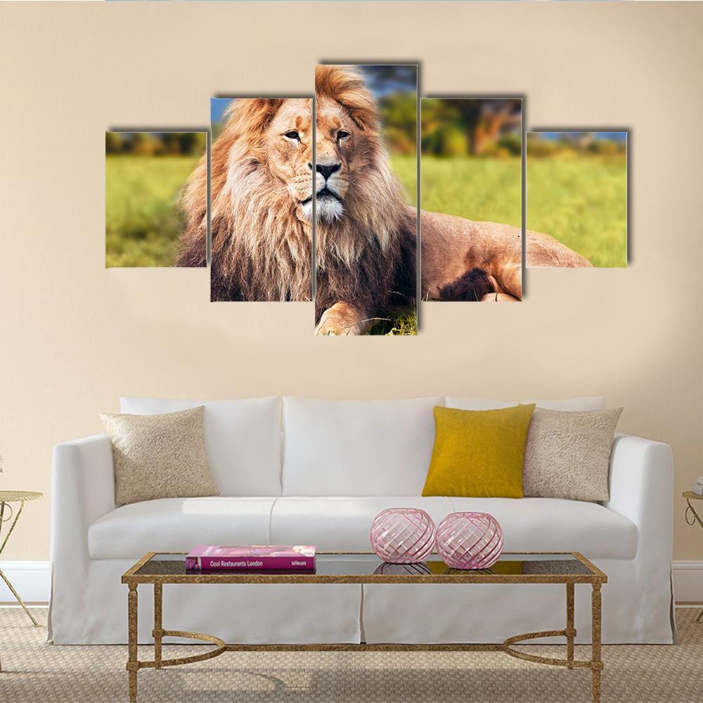 Big Lion Lying On Savannah Grass - Animal 5 Panel Canvas Art Wall Decor Big Lion Lying On Savannah Grass - Animal 5 Panel Canvas Art Wall Decor