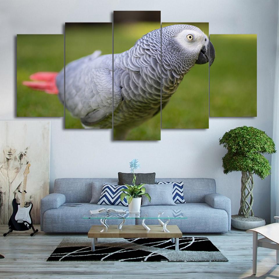 Bird - Animal 5 Panel Canvas Art Wall Decor Bird - Animal 5 Panel Canvas Art Wall Decor