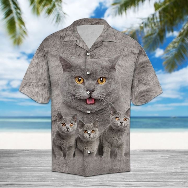 British Shorthair Great Hawaiian Shirt Summer Button Up British Shorthair Great Hawaiian Shirt Summer Button Up
