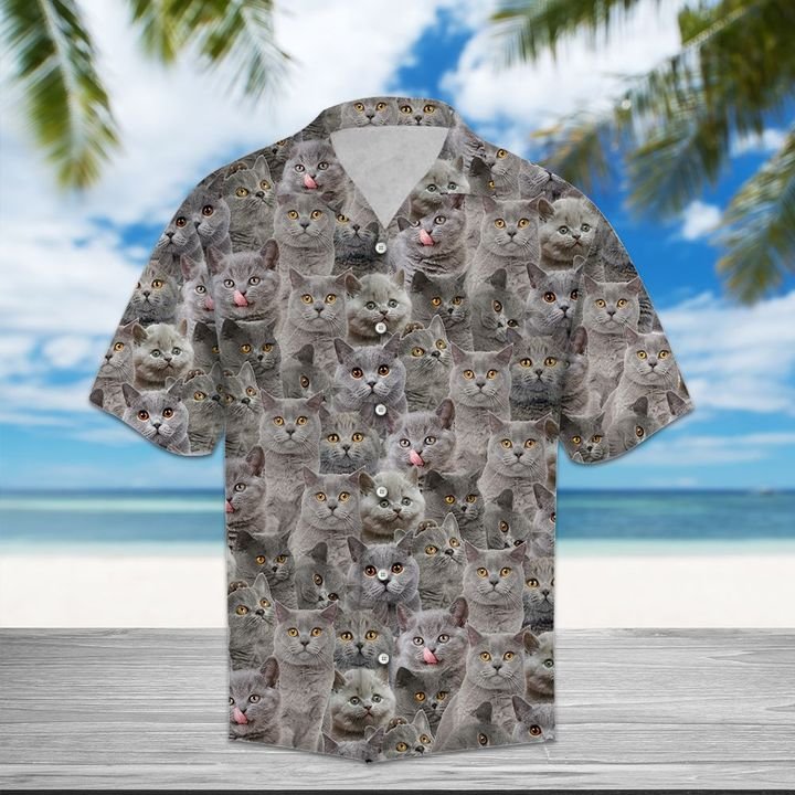 British Shorthair Hawaiian Shirt Summer Button Up British Shorthair Hawaiian Shirt Summer Button Up