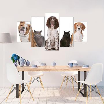 Cats And Dogs Frontal - Animal 5 Panel Canvas Art Wall Decor Cats And Dogs Frontal - Animal 5 Panel Canvas Art Wall Decor
