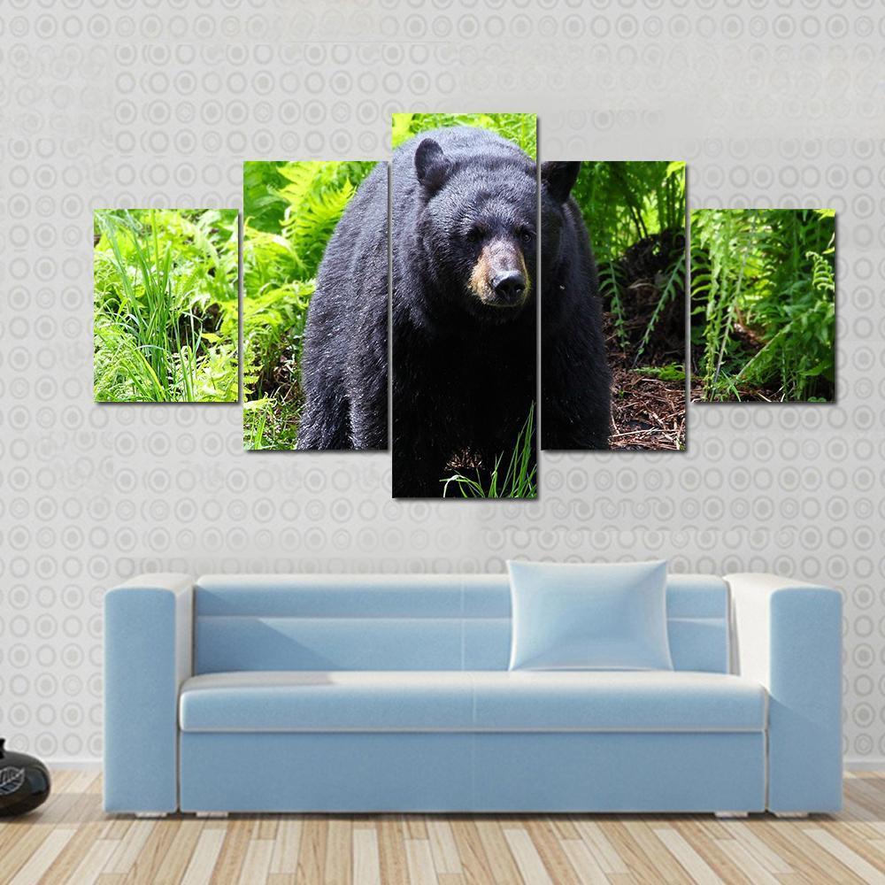 Female Black Bear - Animal 5 Panel Canvas Art Wall Decor Female Black Bear - Animal 5 Panel Canvas Art Wall Decor