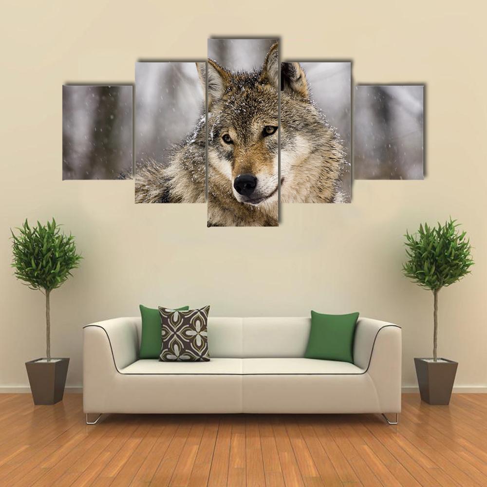 Gray Wolf In Winter - Animal 5 Panel Canvas Art Wall Decor Gray Wolf In Winter - Animal 5 Panel Canvas Art Wall Decor