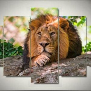 Lazy Lion - Animal 5 Panel Canvas Art Wall Decor