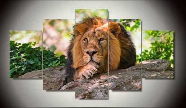 Lazy Lion - Animal 5 Panel Canvas Art Wall Decor Lazy Lion - Animal 5 Panel Canvas Art Wall Decor
