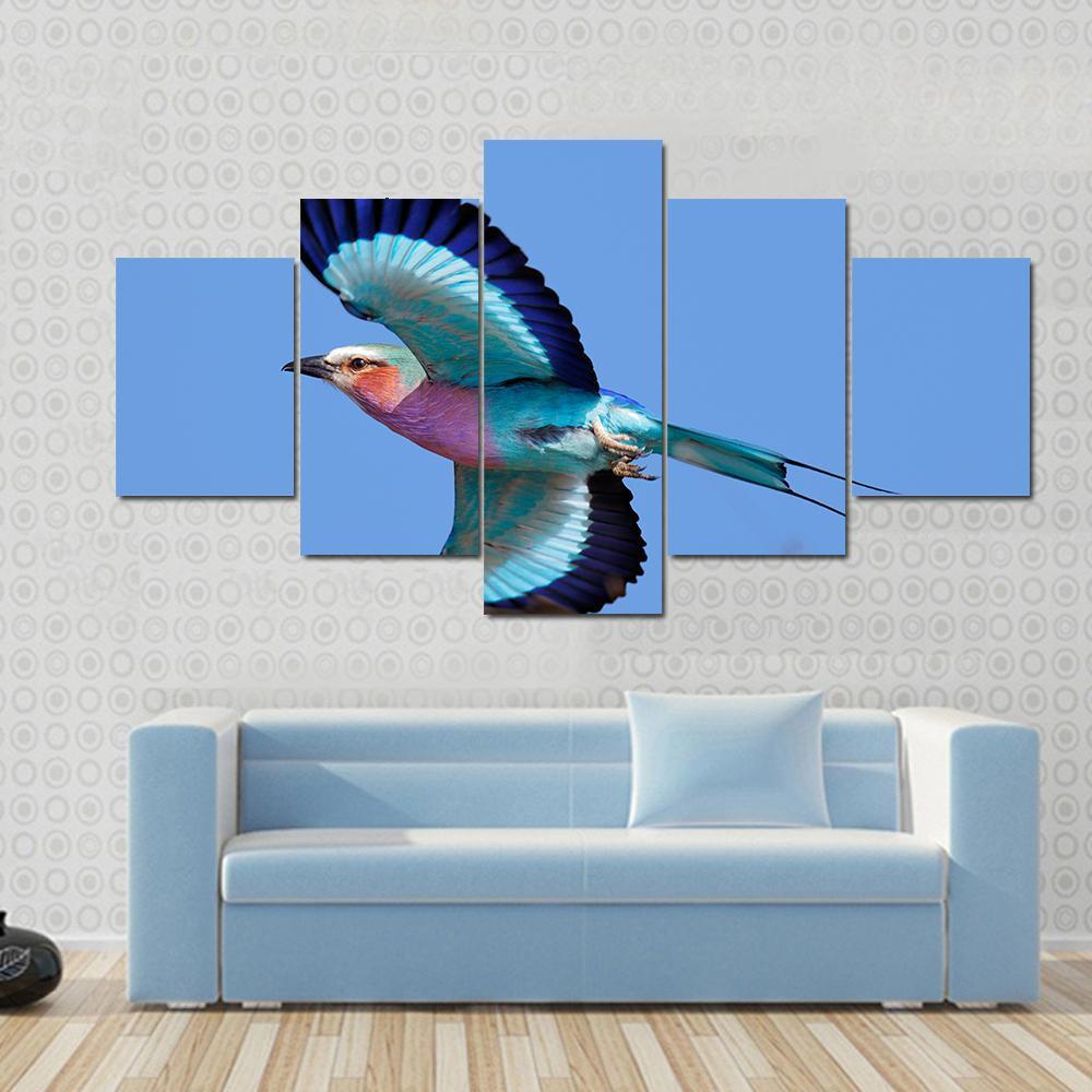 Lilac-Breasted Roller Taking Flight Against Blue Sky - Animal 5 Panel Canvas Art Wall Decor Lilac-Breasted Roller Taking Flight Against Blue Sky - Animal 5 Panel Canvas Art Wall Decor