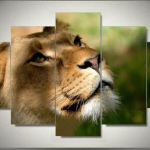 Lioness Closeup - Animal 5 Panel Canvas Art Wall Decor