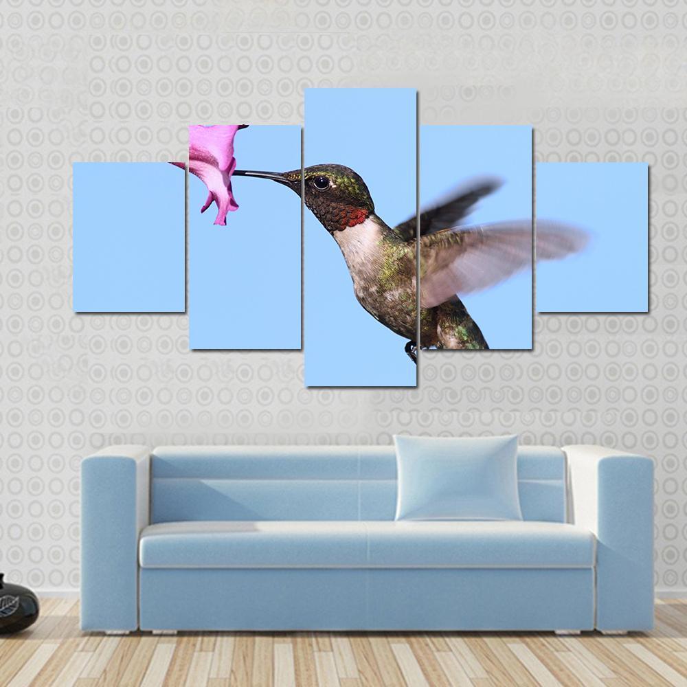 Male Ruby-Throated Hummingbird In Flight With A Purple Flower - Animal 5 Panel Canvas Art Wall Decor Male Ruby-Throated Hummingbird In Flight With A Purple Flower - Animal 5 Panel Canvas Art Wall Decor