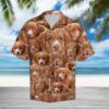 Nova Scotia Duck Tolling Retriever Hawaiian Shirt Summer Button Up