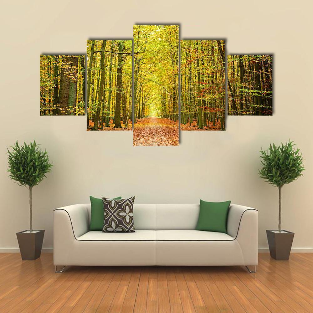 Pathway In The Autumn Forest - Nature 5 Panel Canvas Art Wall Decor Pathway In The Autumn Forest - Nature 5 Panel Canvas Art Wall Decor