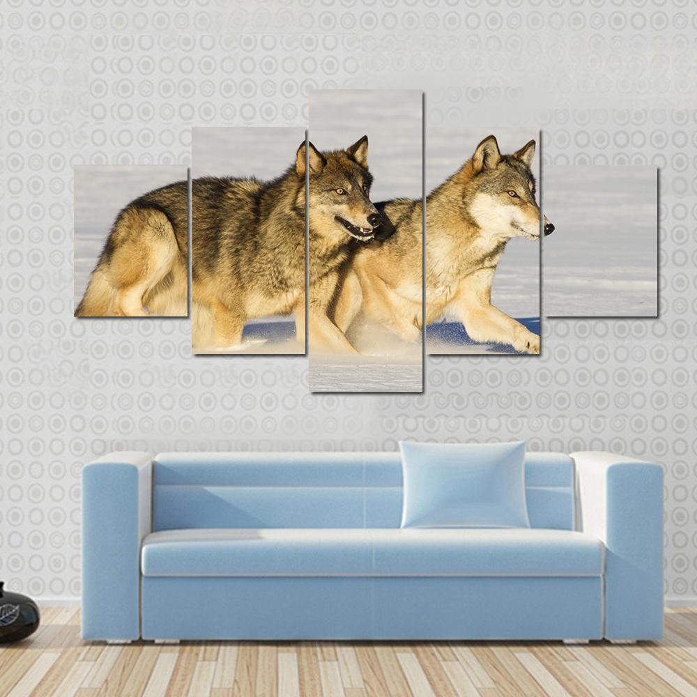 Running In Snow Gray Wolves - Animal 5 Panel Canvas Art Wall Decor Running In Snow Gray Wolves - Animal 5 Panel Canvas Art Wall Decor