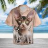 Sphynx Great Hawaiian Shirt Summer Button Up