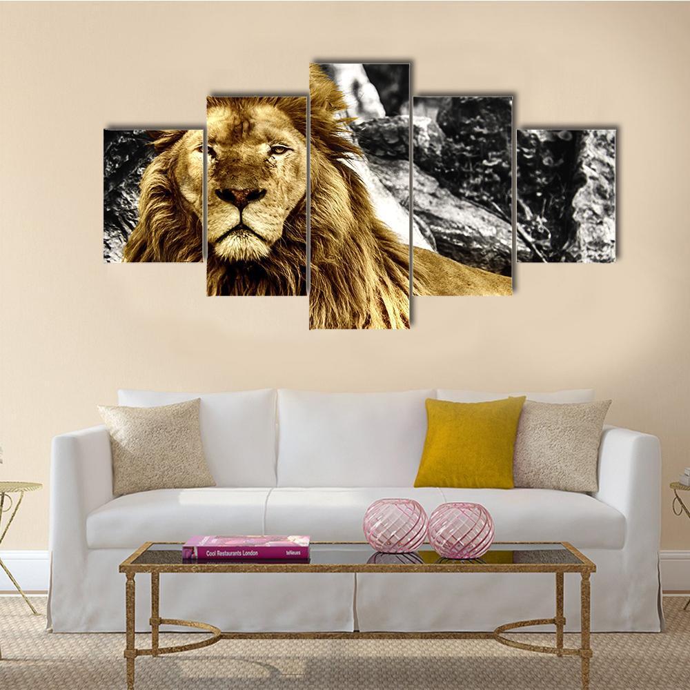 The King Of Lions - Animal 5 Panel Canvas Art Wall Decor The King Of Lions - Animal 5 Panel Canvas Art Wall Decor
