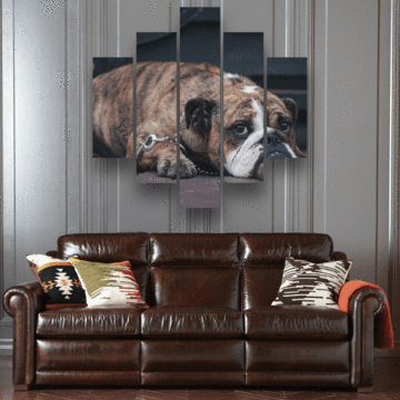 Tired Bulldog - Animal 5 Panel Canvas Art Wall Decor Tired Bulldog - Animal 5 Panel Canvas Art Wall Decor
