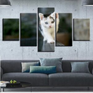 Very Lovely White Cats - Animal 5 Panel Canvas Art Wall Decor